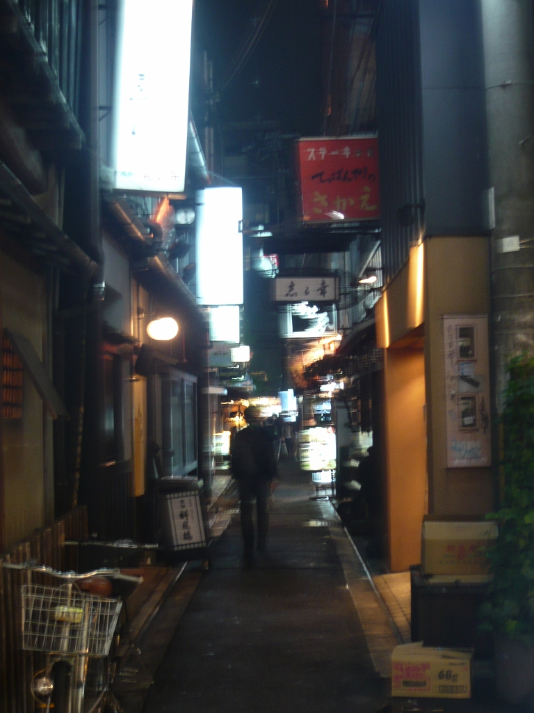 p1020294.jpg - A (not so) dark, shady Kyoto alley